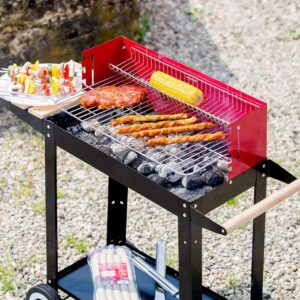 Barbecue à Charbon Portable 2 Niveaux sur Roulettes – FRIDAY STORE